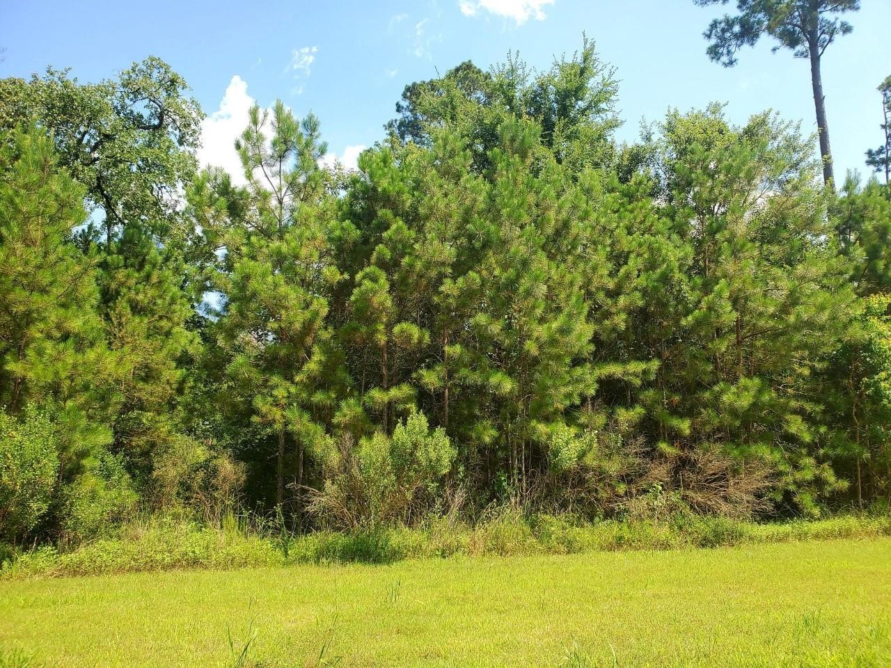 121 Kings Lake Estates Boulevard Property Photo 3