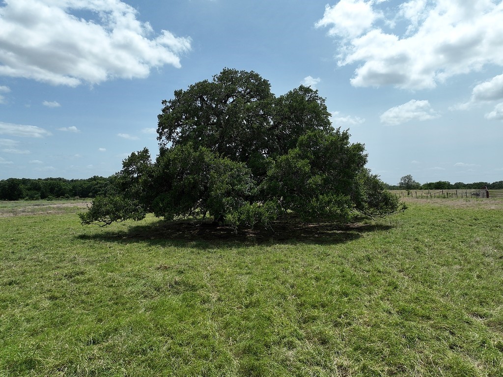 10398 Adamcik Road Property Photo 29