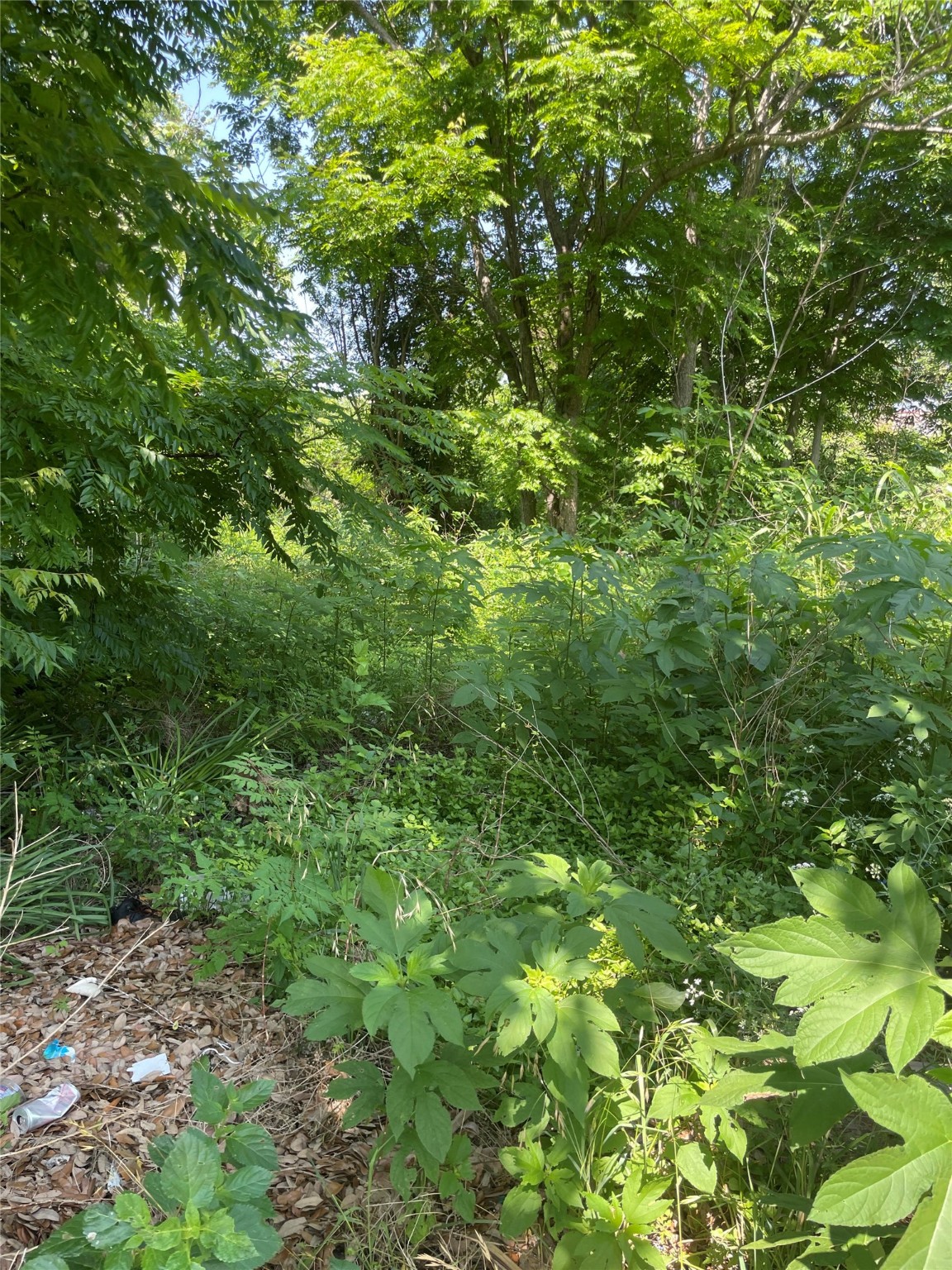 3507 Kimball Street Property Photo