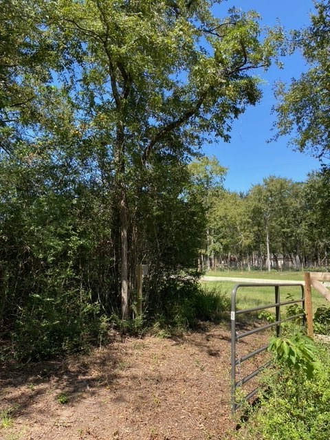 Unk Sawmill Road Property Photo 2