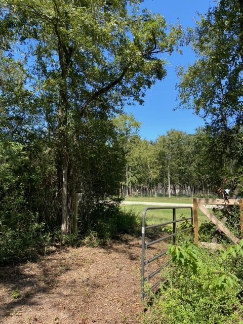 Unk Sawmill Road Property Photo 3