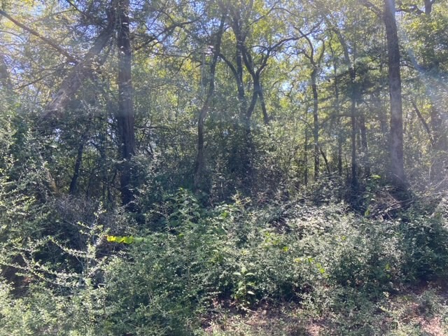 Unk Sawmill Road Property Photo 5