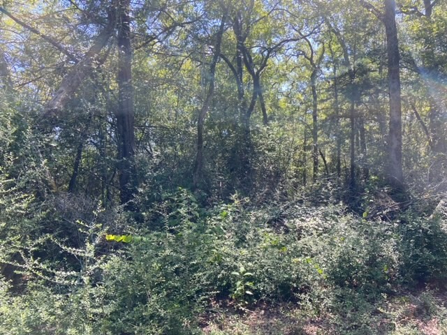 Unk Sawmill Road Property Photo 6