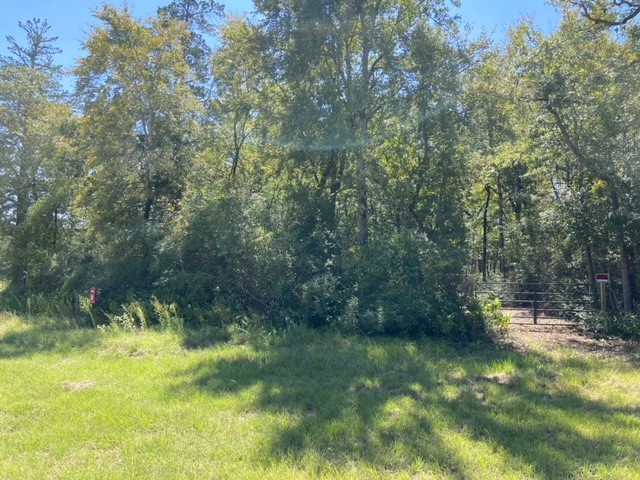 Unk Sawmill Road Property Photo 13
