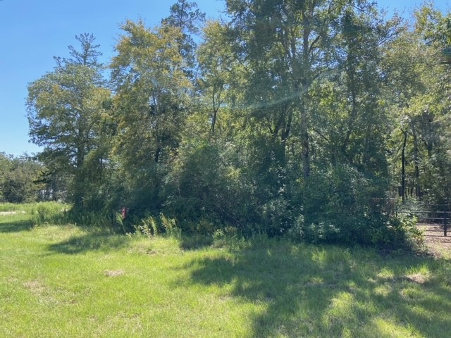 Unk Sawmill Road Property Photo 15