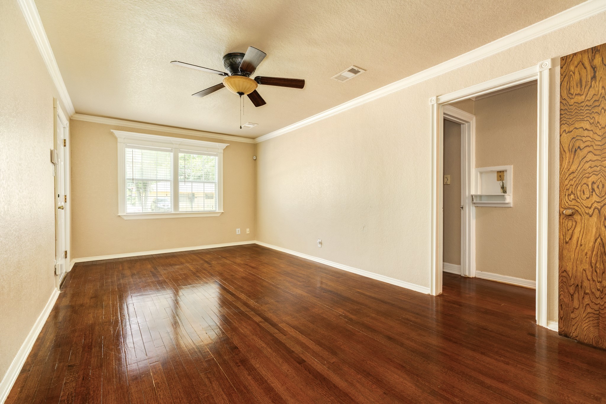229 Caladium Street Property Photo 6
