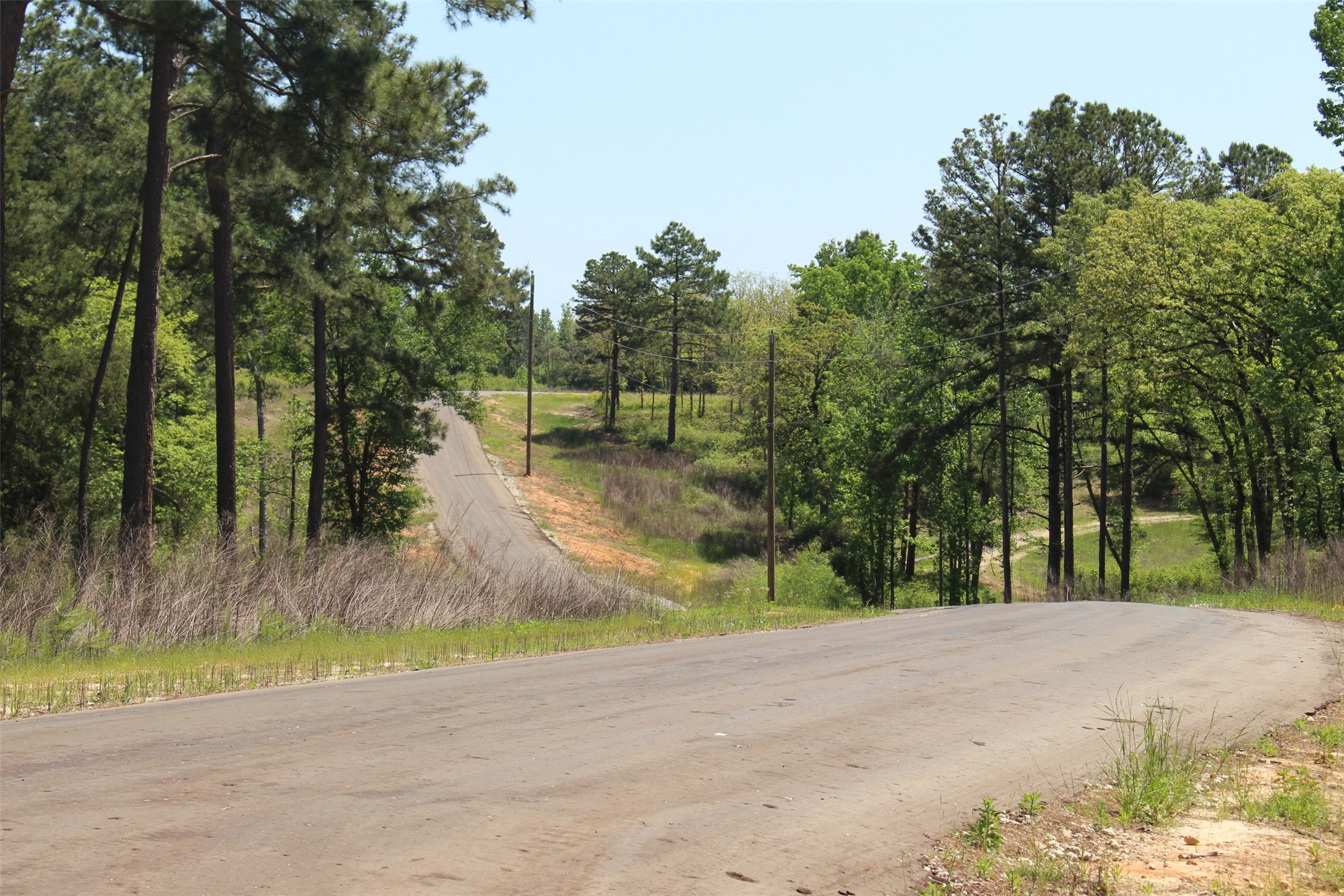 Tract 166 Private Road 1311 Property Photo 5