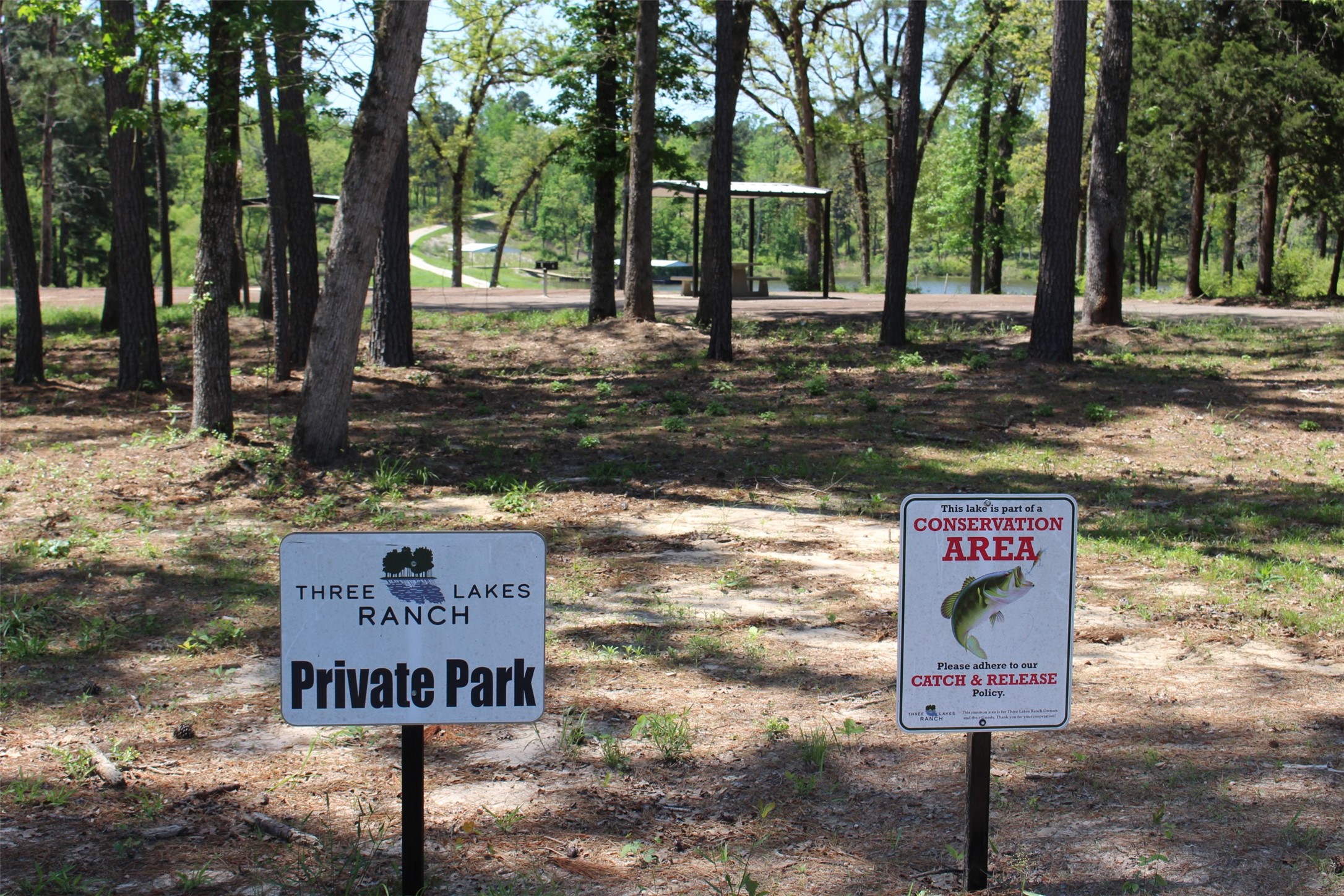 Tract 166 Private Road 1311 Property Photo 8