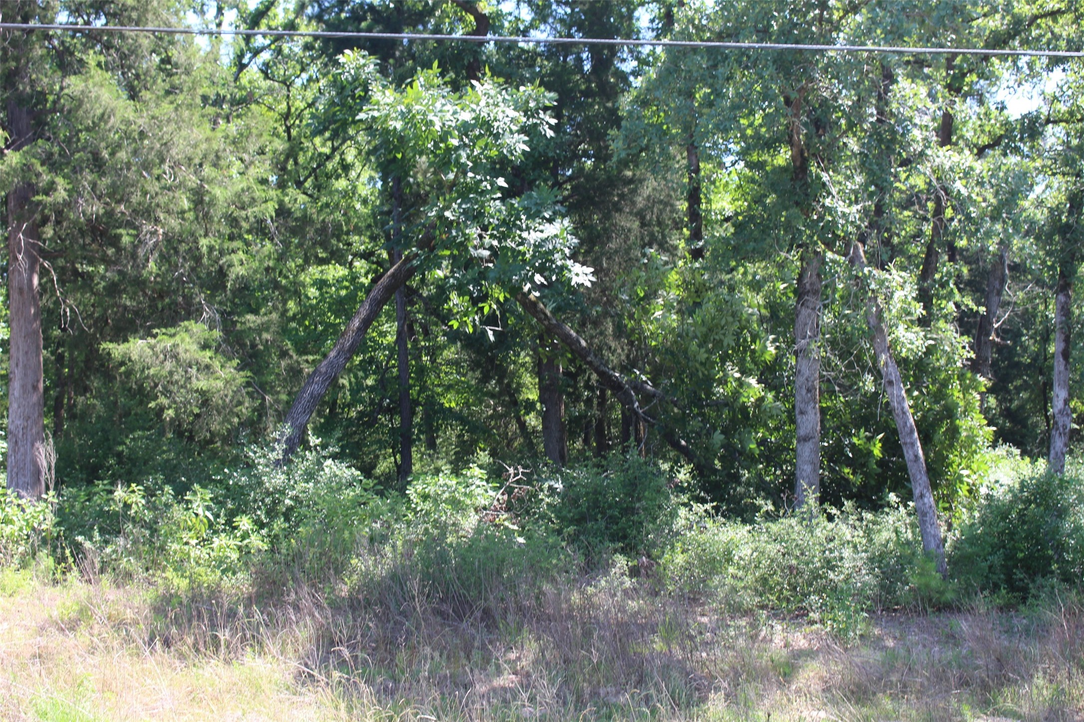 Tract 166 Private Road 1311 Property Photo 13