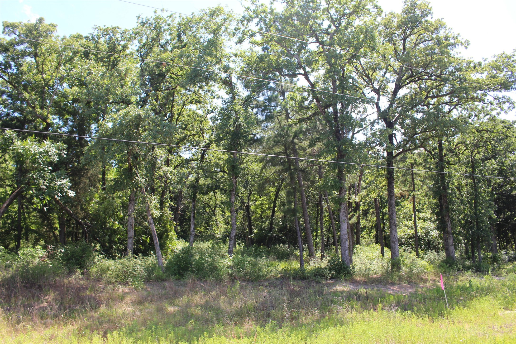 Tract 166 Private Road 1311 Property Photo 14