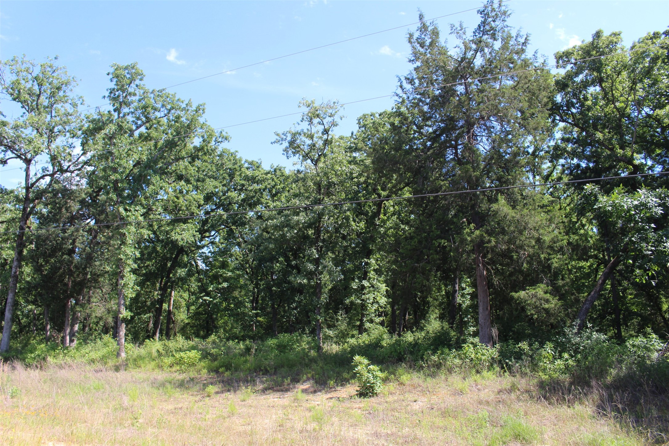 Tract 166 Private Road 1311 Property Photo 15