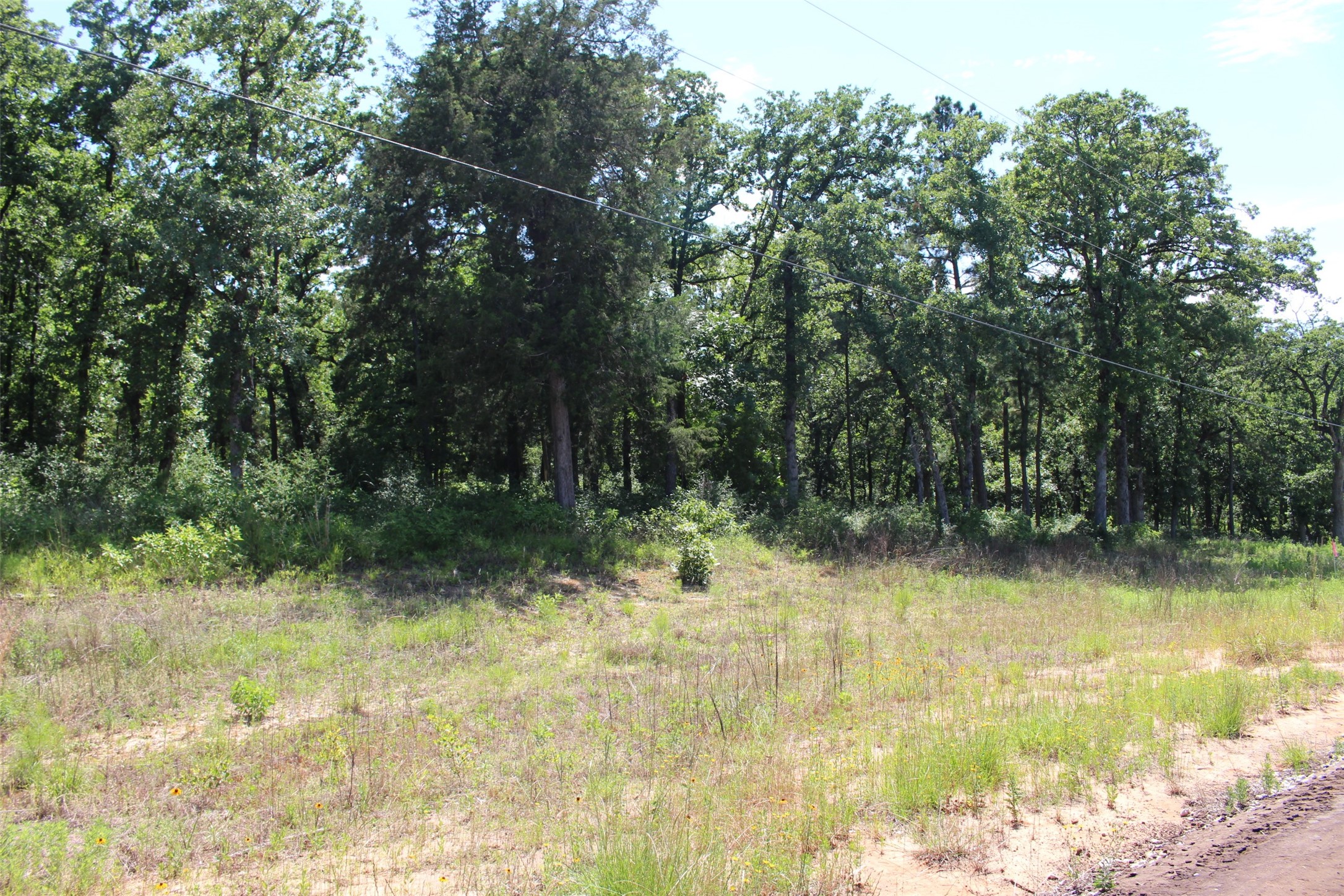 Tract 166 Private Road 1311 Property Photo 17