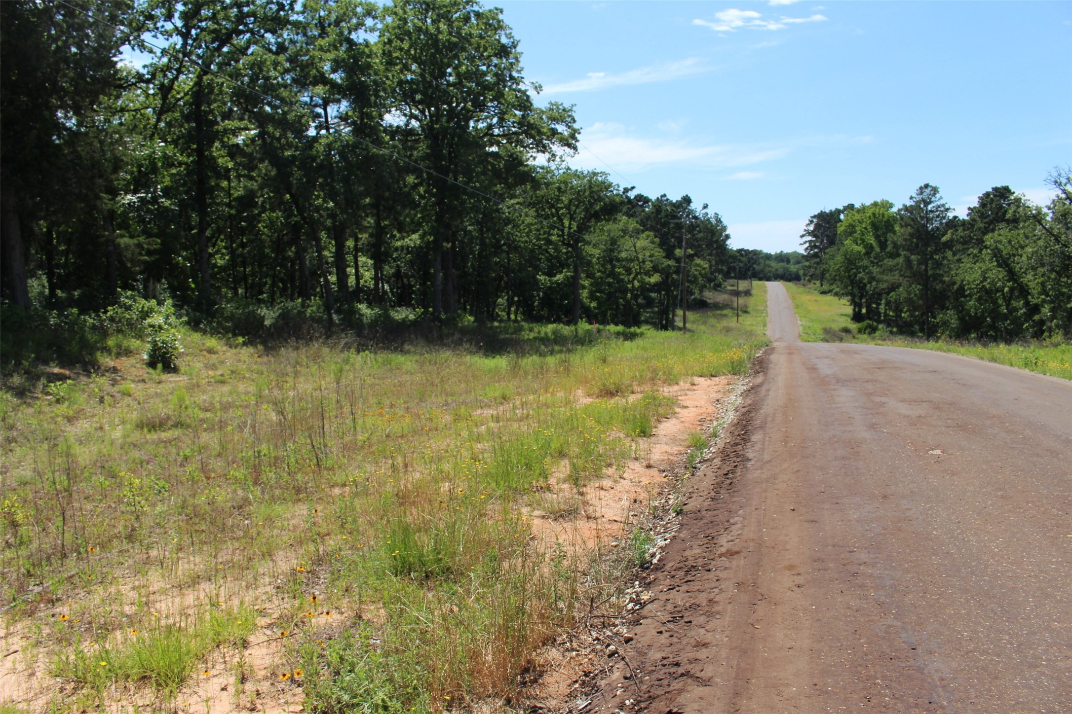 Tract 166 Private Road 1311 Property Photo 18