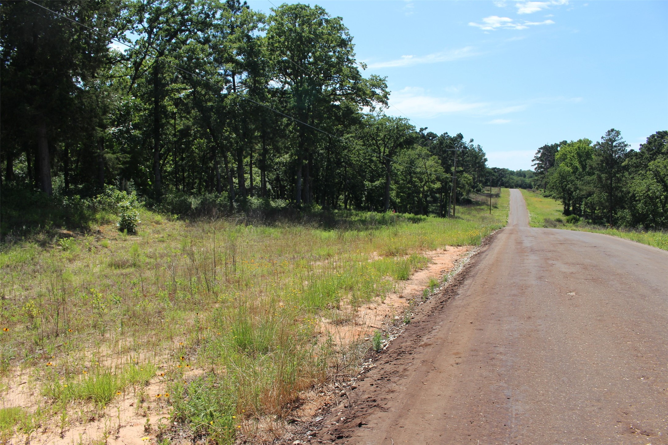 Tract 166 Private Road 1311 Property Photo 19
