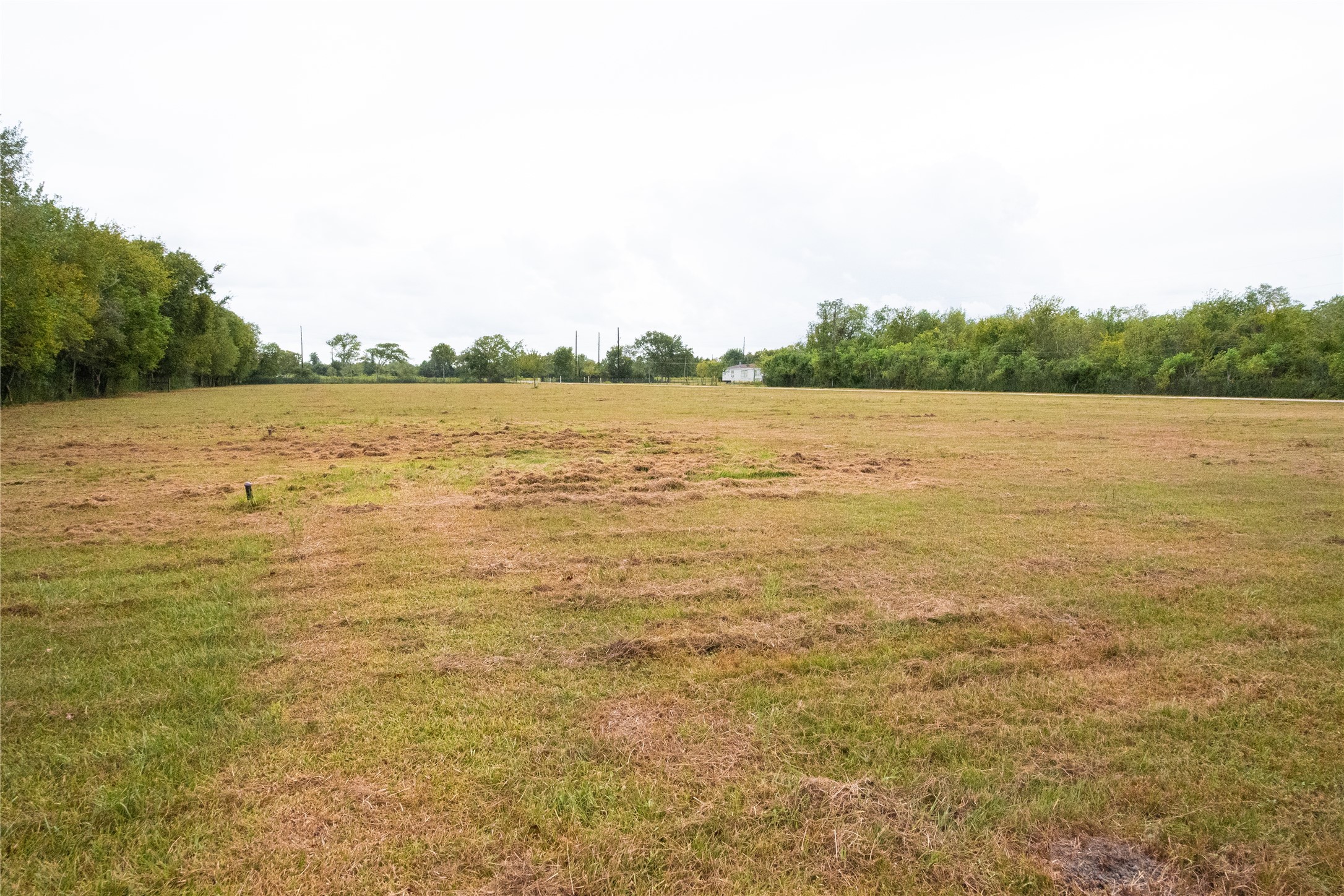 3447 Ramsey Loop Road Property Photo 42