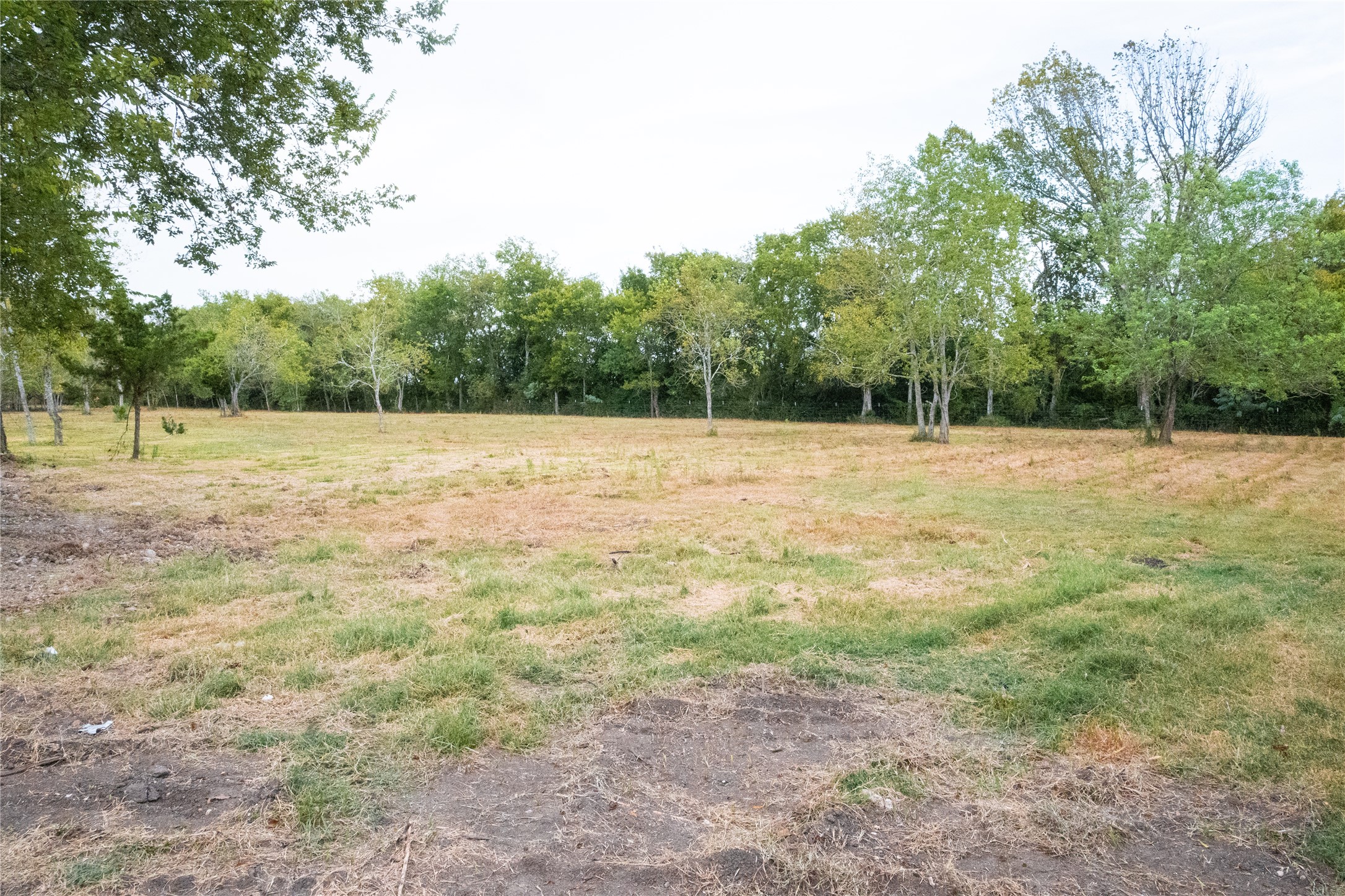 3447 Ramsey Loop Road Property Photo 44