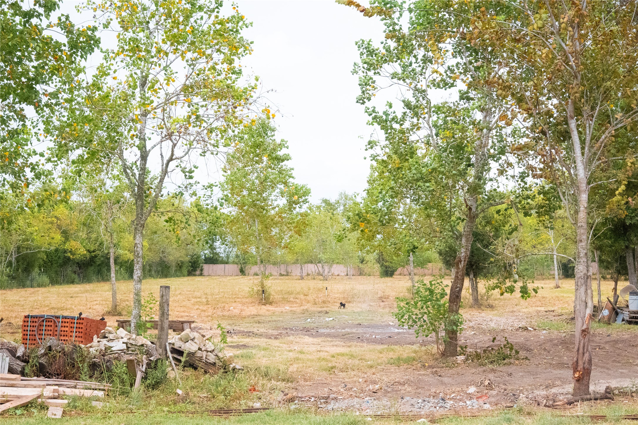 3447 Ramsey Loop Road Property Photo 48