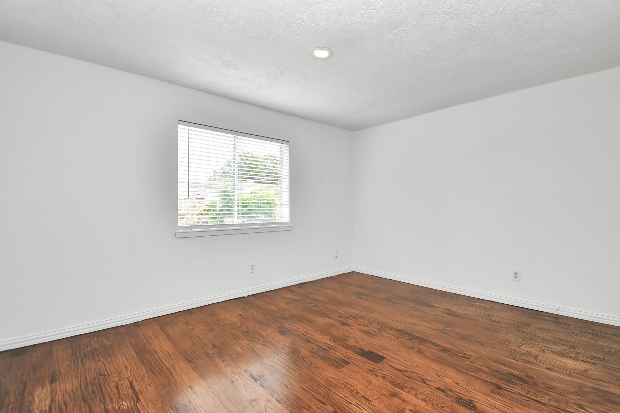 10131 Kent Towne Ln Property Photo 23
