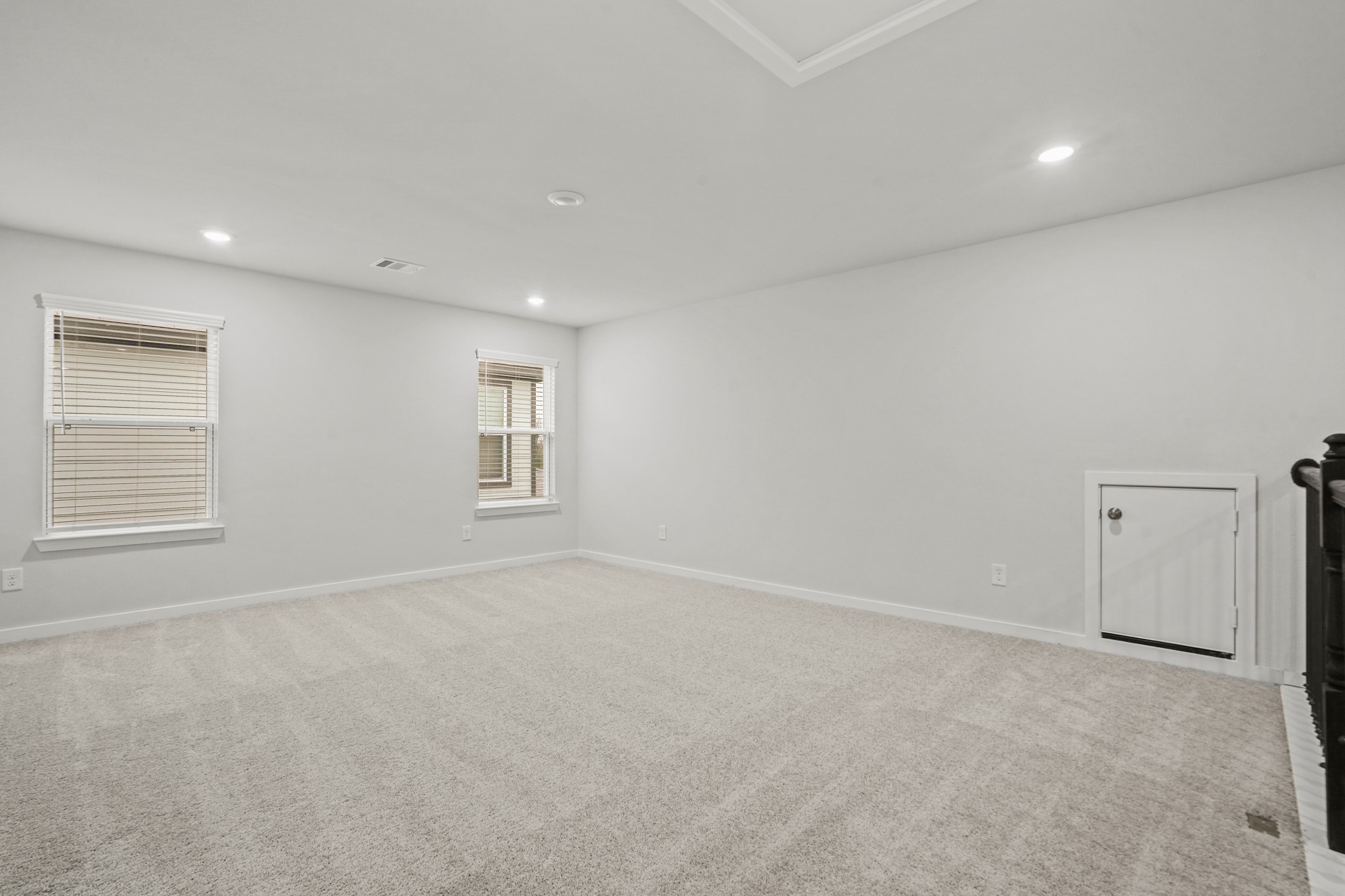 17234 White Peace Drive Property Photo 14