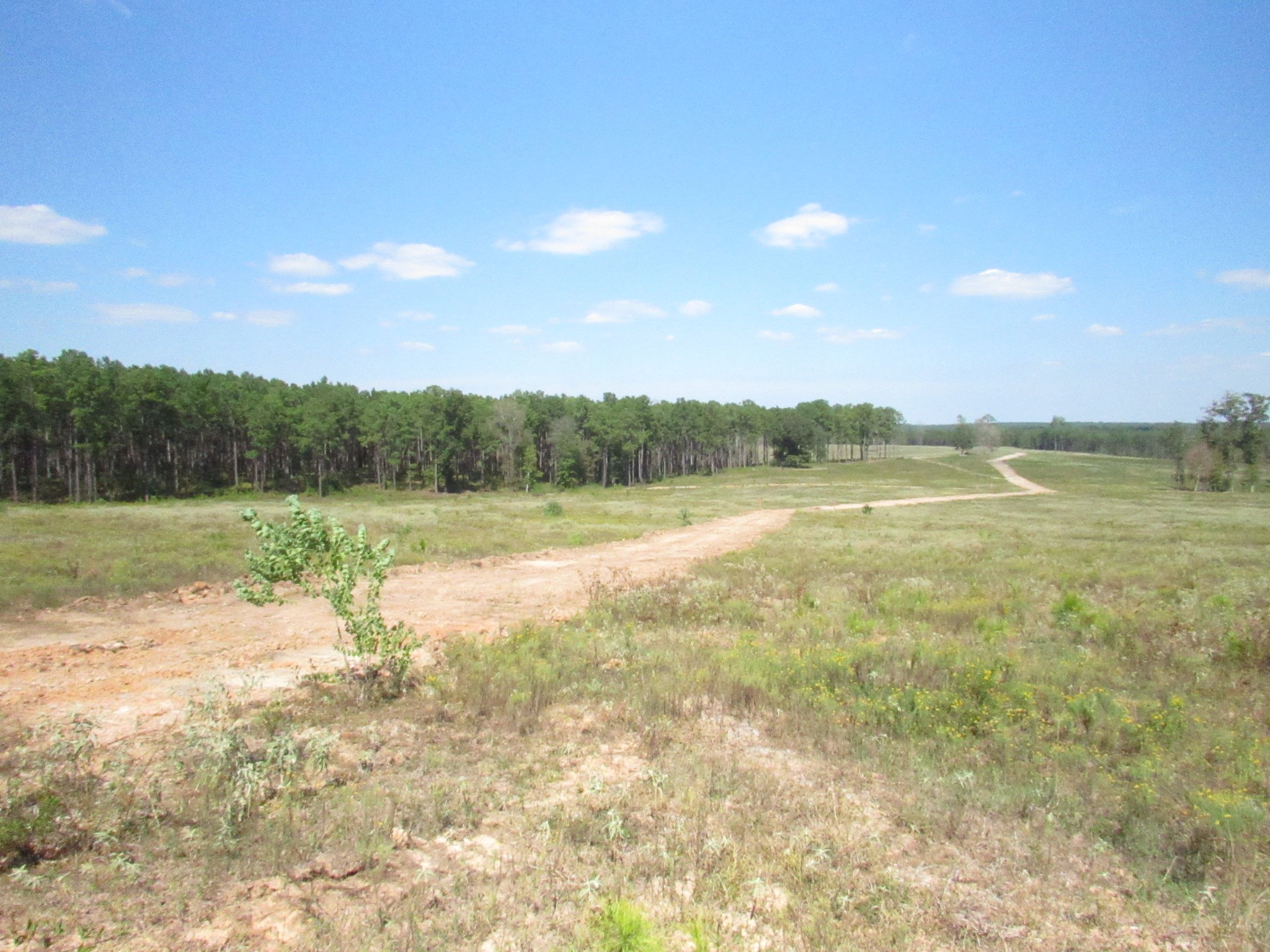 Tbd22 Fm 256 N Property Photo 1