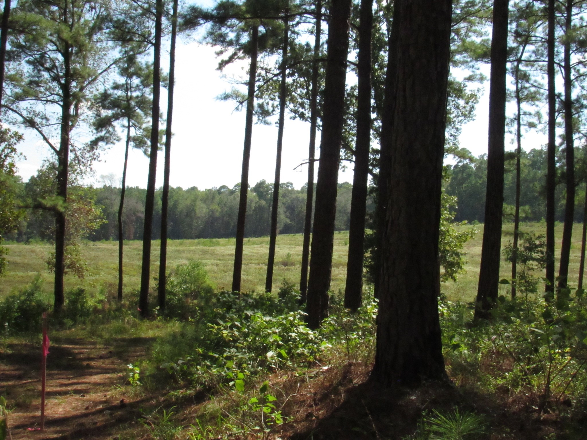 Tbd22 Fm 256 N Property Photo 2