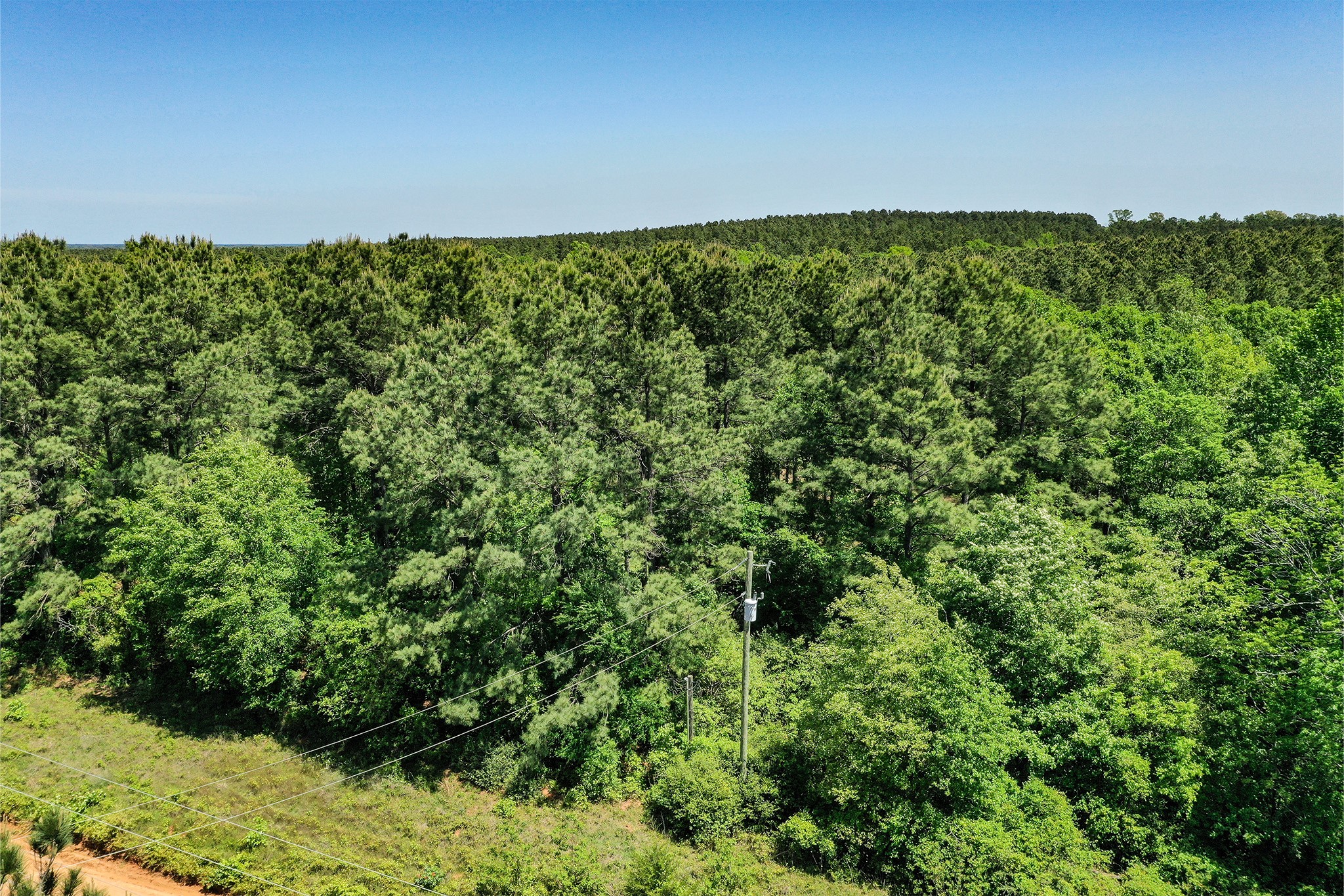 18.897 Ac Cr 1050 Property Photo 11