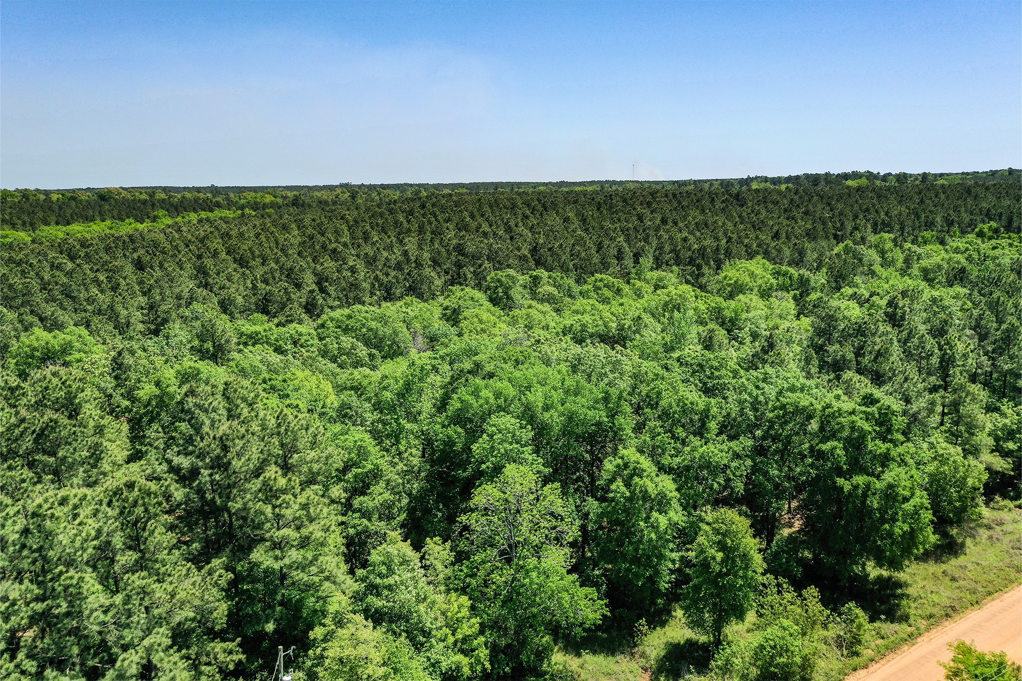 18.897 Ac Cr 1050 Property Photo 16