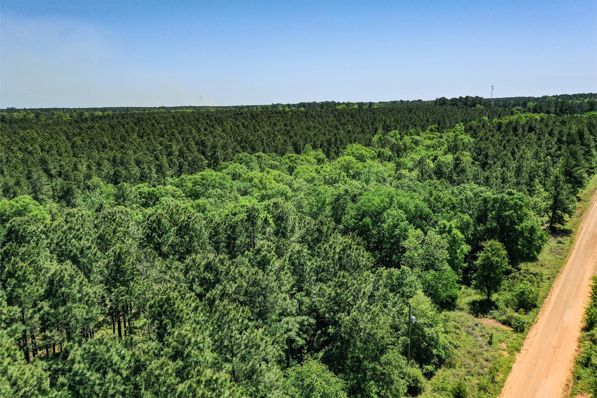 18.897 Ac Cr 1050 Property Photo 17