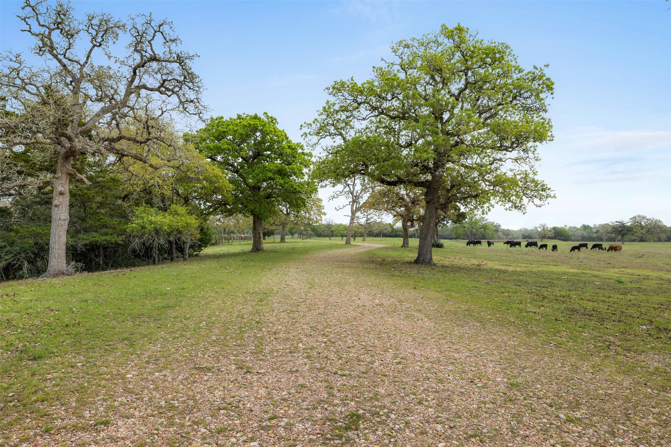 E. Tobias At Cordes Road Property Photo
