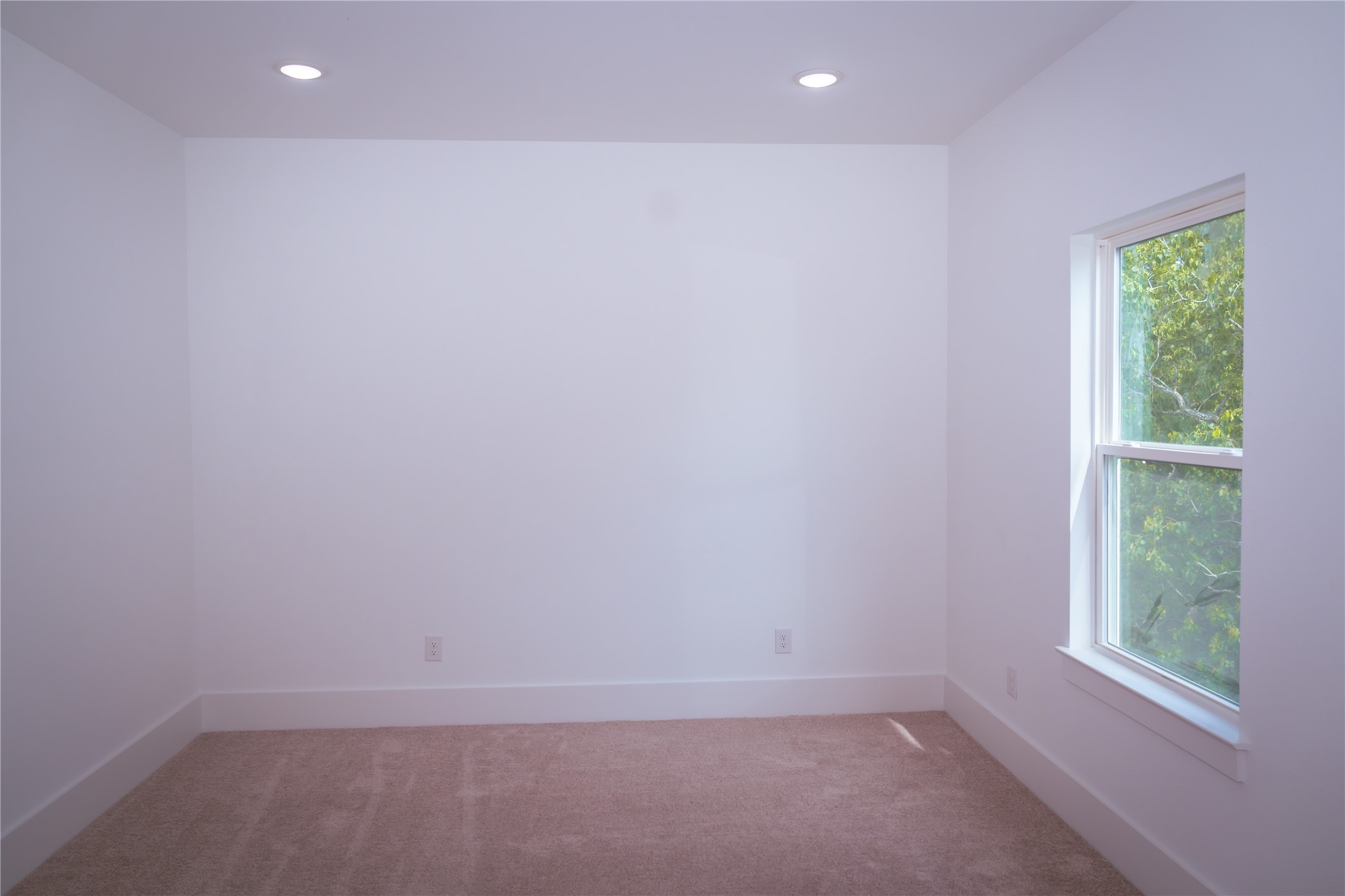 6728 Peerless Street E Property Photo 13