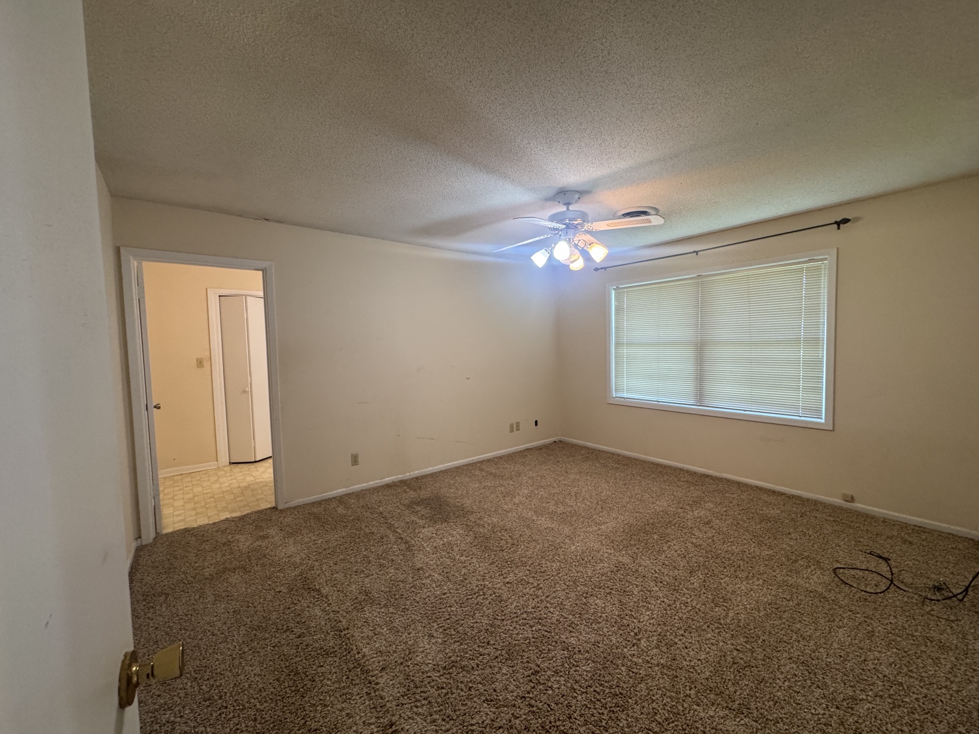 1331 County Road 313 Property Photo 14