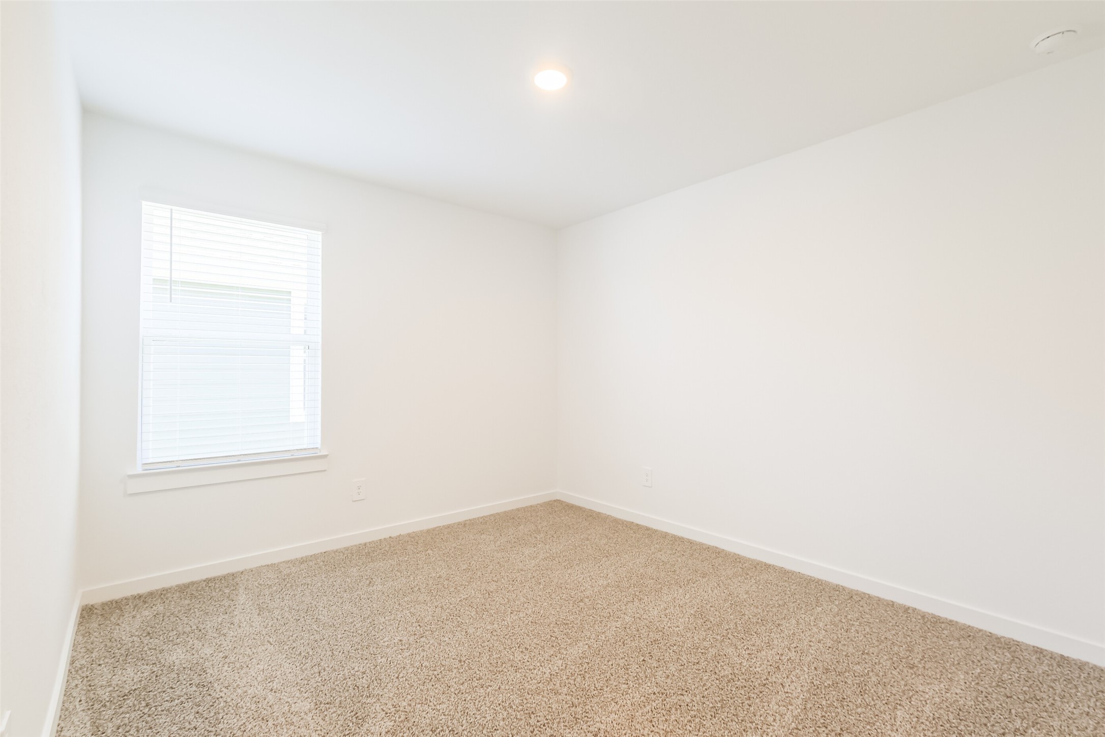 31718 Hallington Hill Lane Property Photo 12