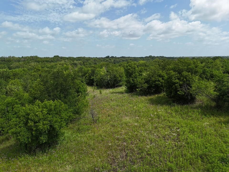 0 County Road 3255 Property Photo 4