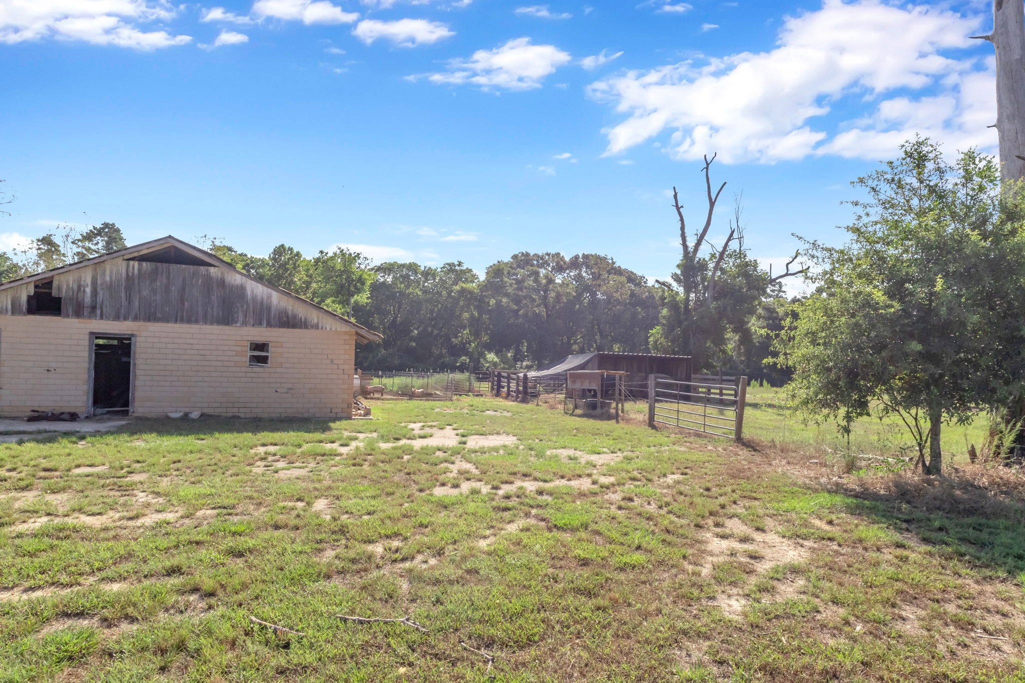 565 County Road 333a Property Photo 39