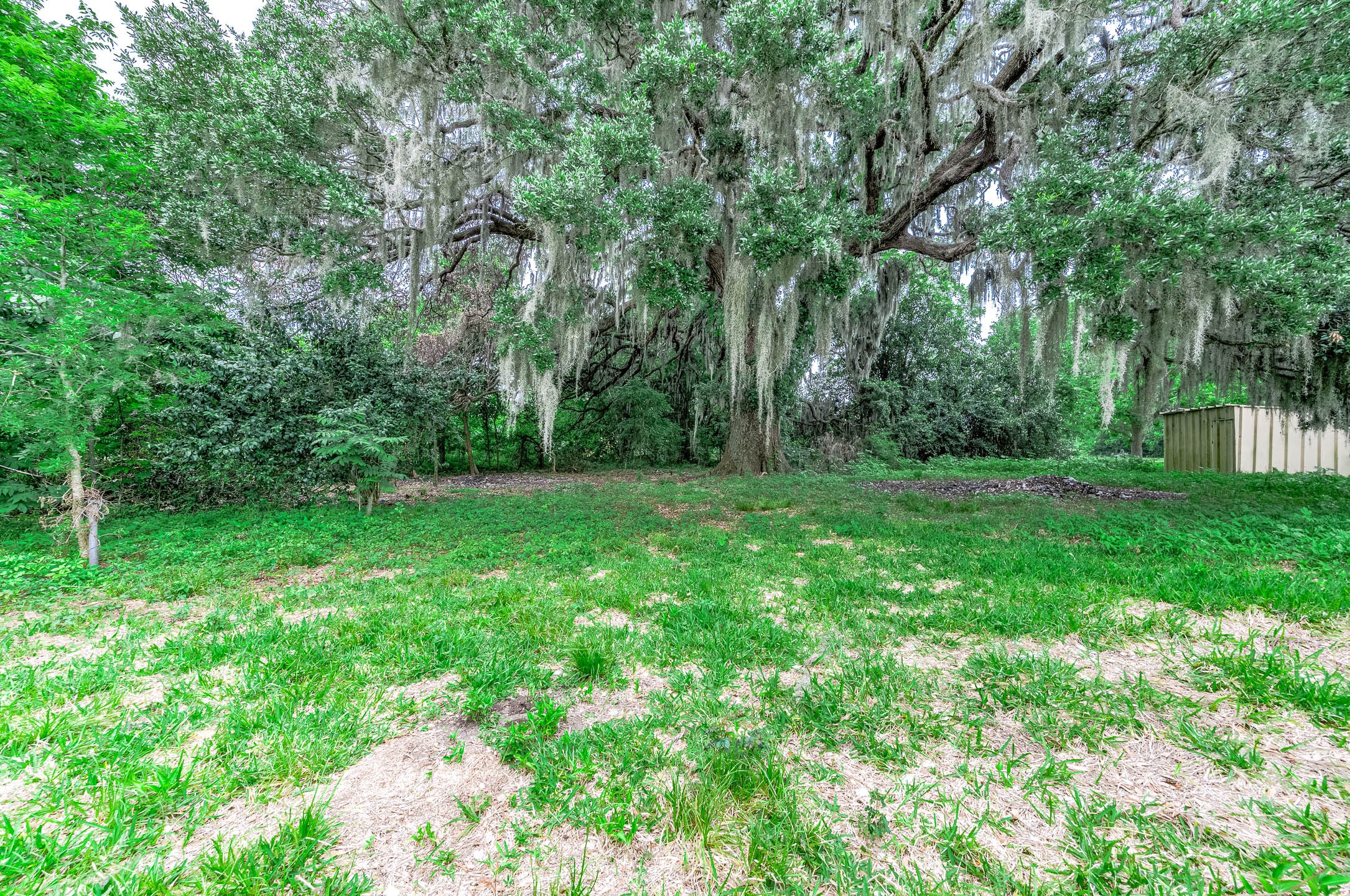 2719 Fm 524 Property Photo 19