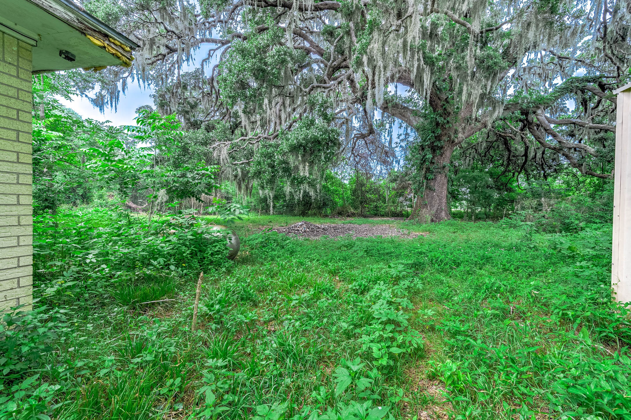 2719 Fm 524 Property Photo 21