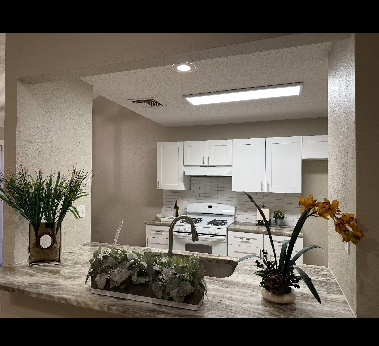 3938 Kitchen Hill Lane Property Photo 13