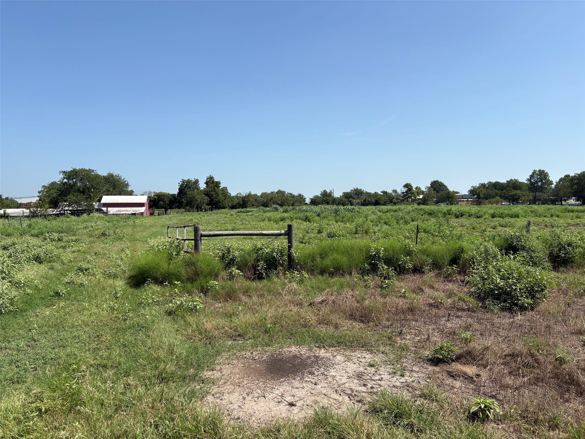 1466 County Road 253a Property Photo 4