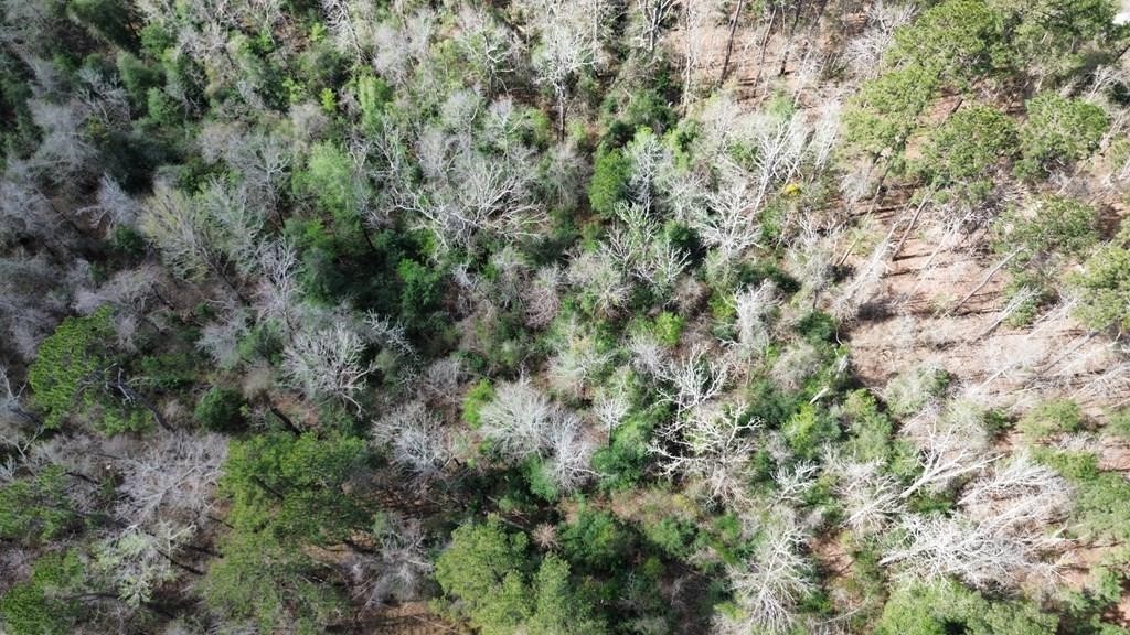 16.97ac Tr Cr 4081 Property Photo 1