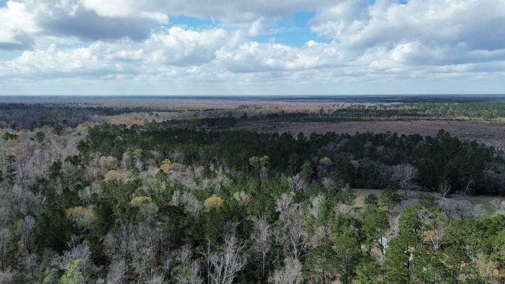 16.97ac Tr Cr 4081 Property Photo 3