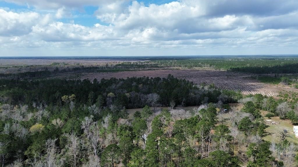 16.97ac Tr Cr 4081 Property Photo 4