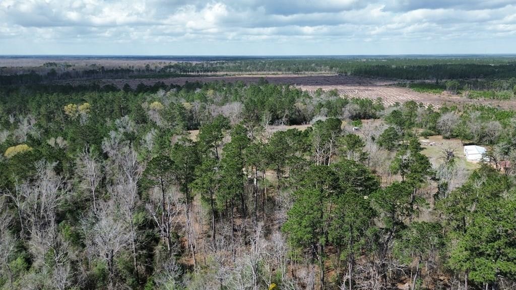 16.97ac Tr Cr 4081 Property Photo 5