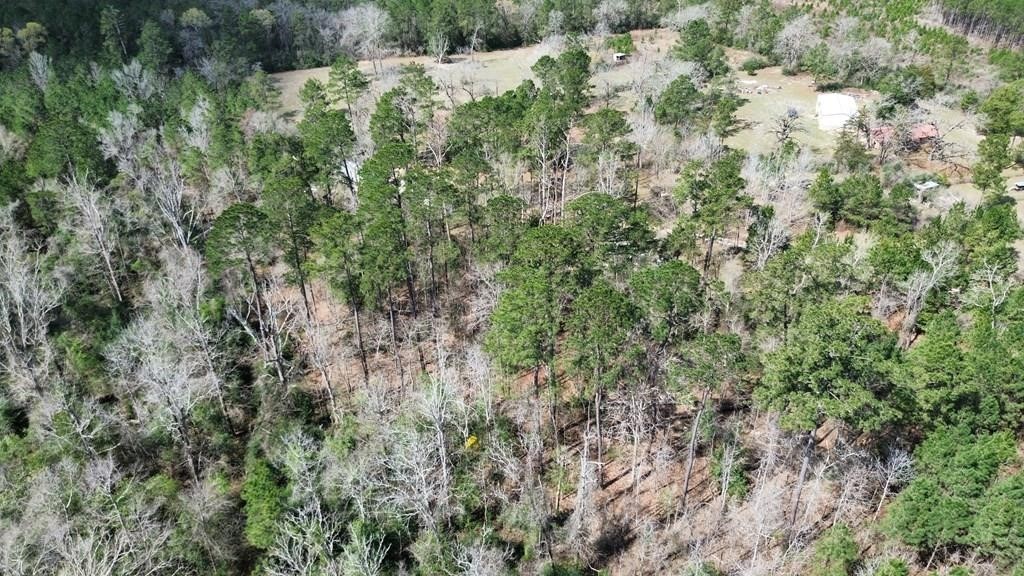 16.97ac Tr Cr 4081 Property Photo 6