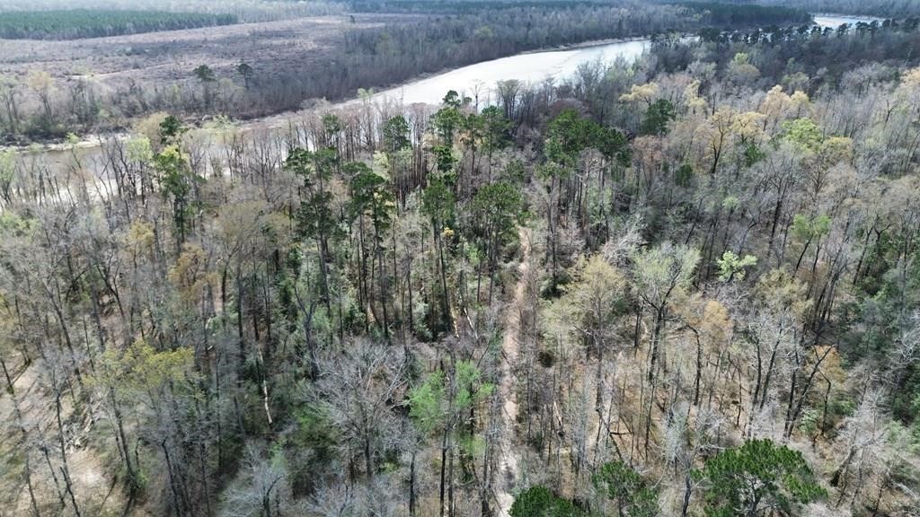 16.97ac Tr Cr 4081 Property Photo 7