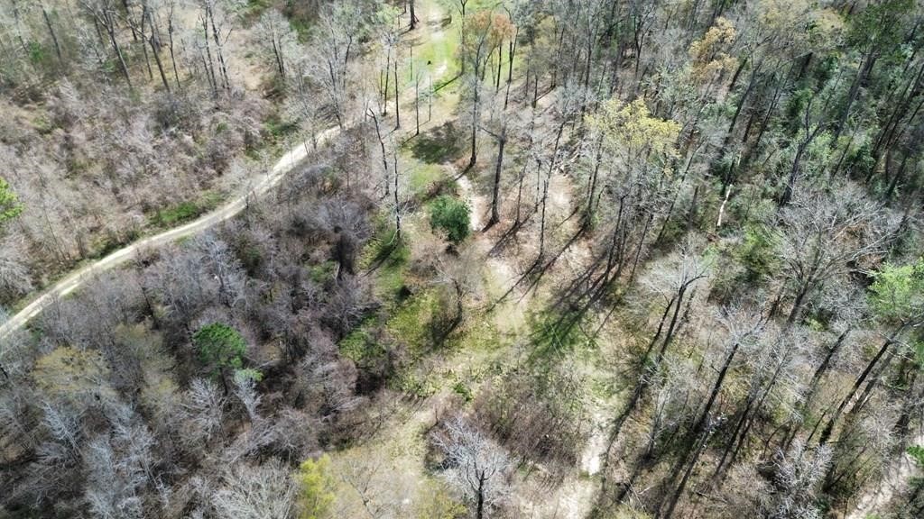 16.97ac Tr Cr 4081 Property Photo 8