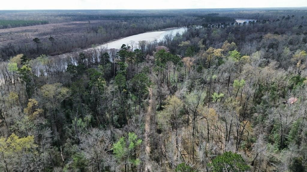 16.97ac Tr Cr 4081 Property Photo 10
