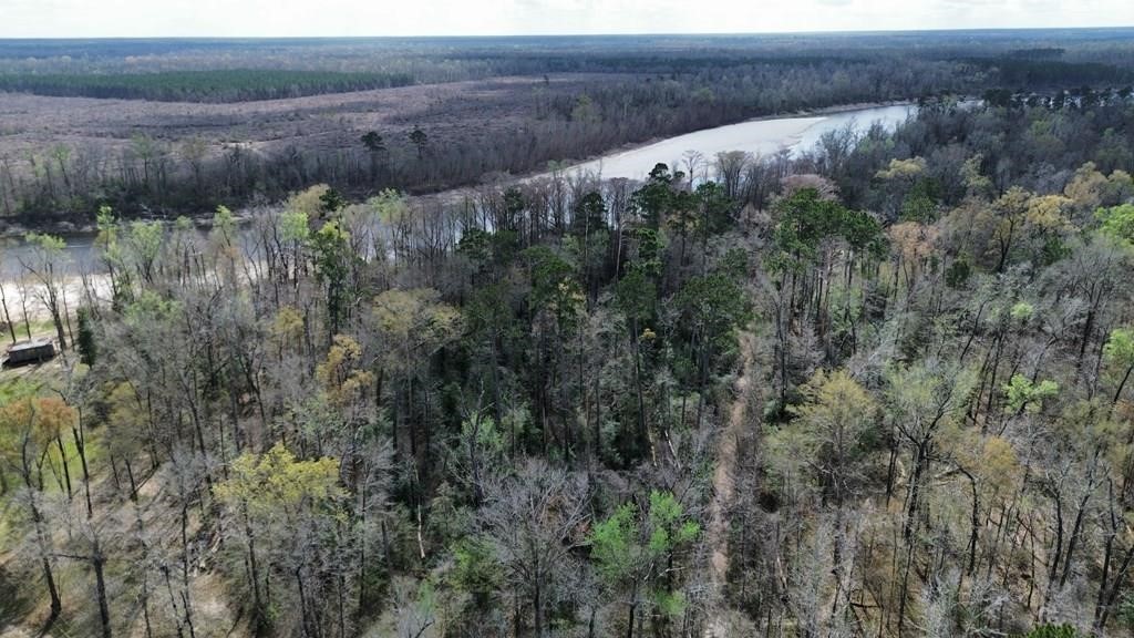 16.97ac Tr Cr 4081 Property Photo 11