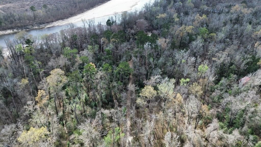 16.97ac Tr Cr 4081 Property Photo 14