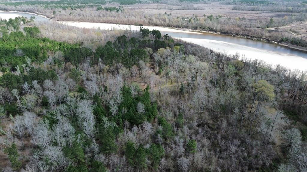 16.97ac Tr Cr 4081 Property Photo 15