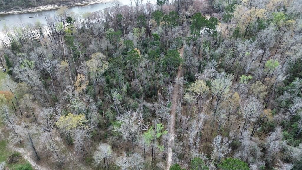 16.97ac Tr Cr 4081 Property Photo 16
